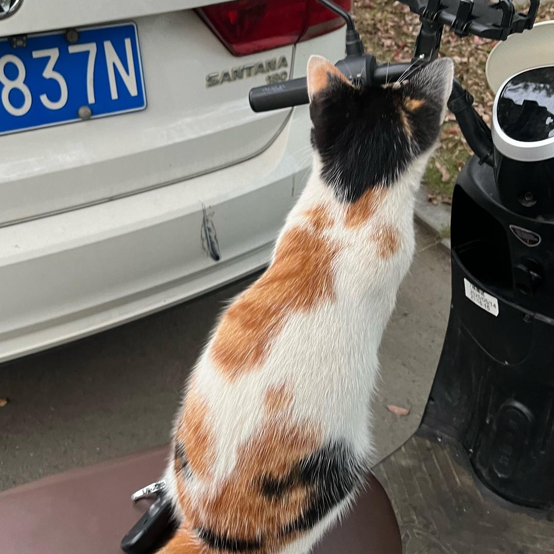 咕噜咕噜咕噜哒