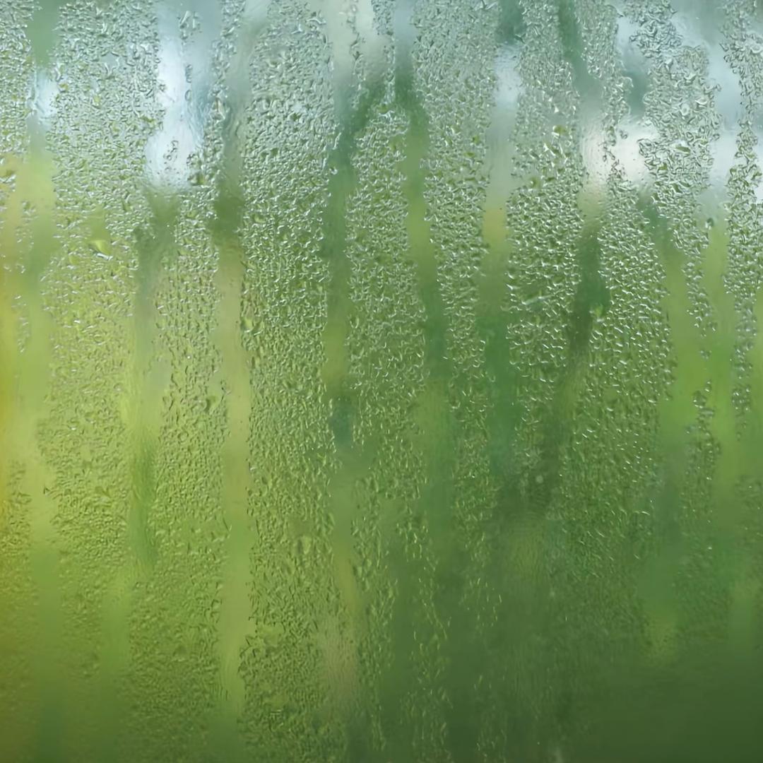 水煮鱼7