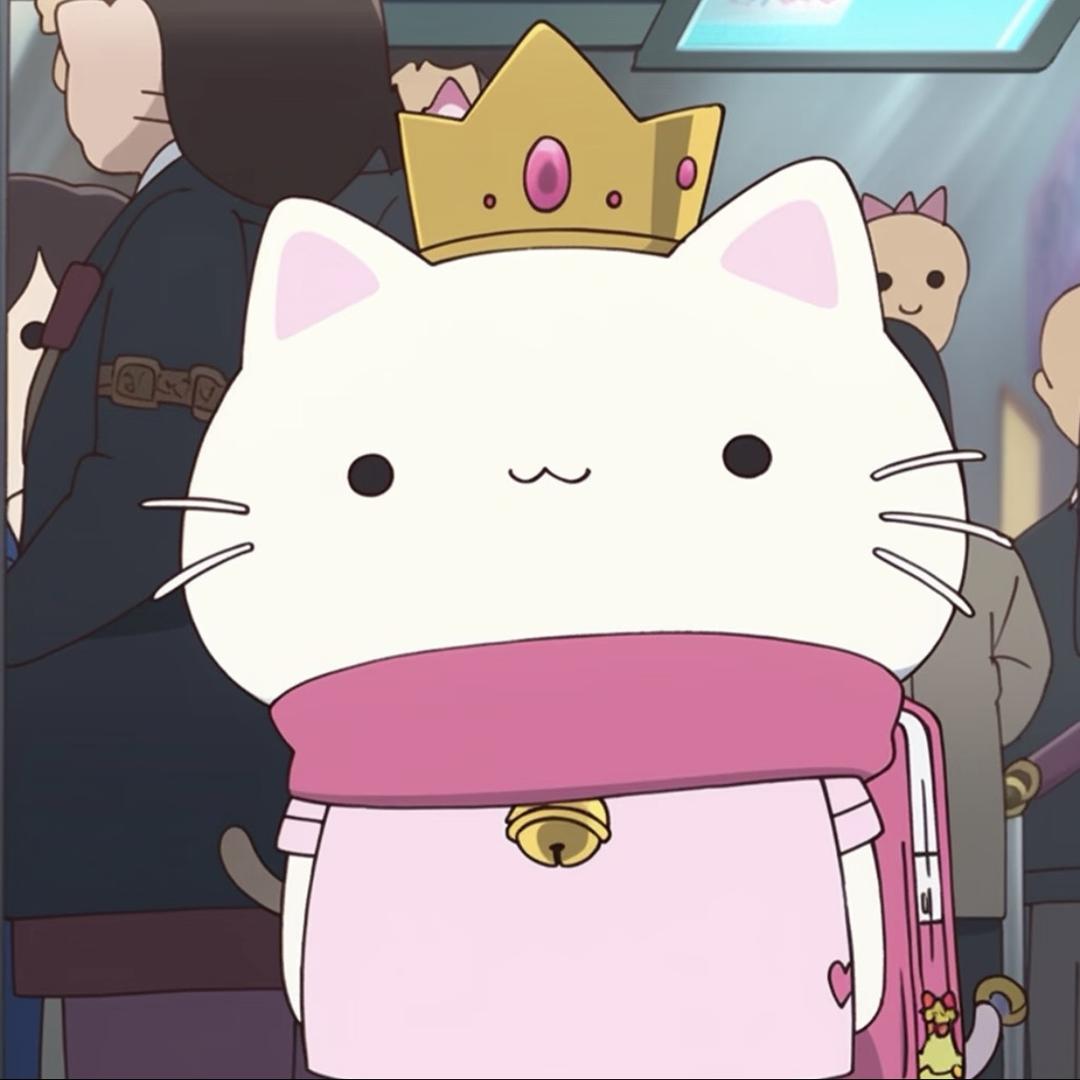 泡泡喵