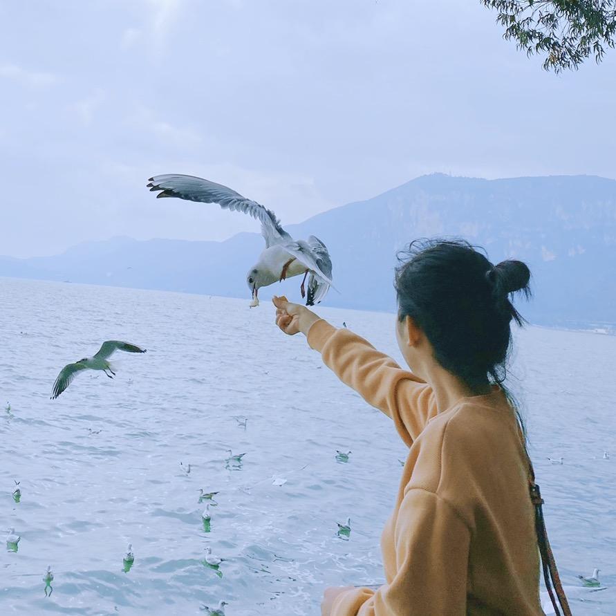 小叶同学🍃