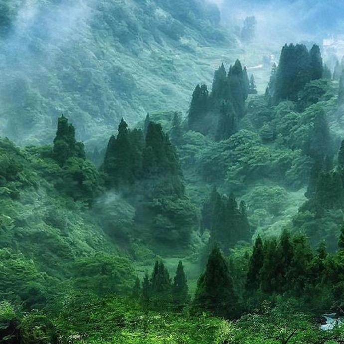 听凤语
