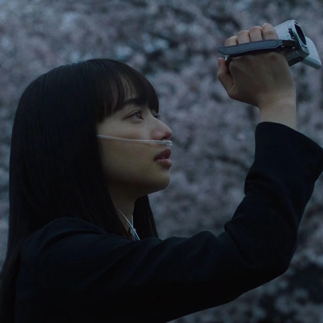 秋崎_7u7