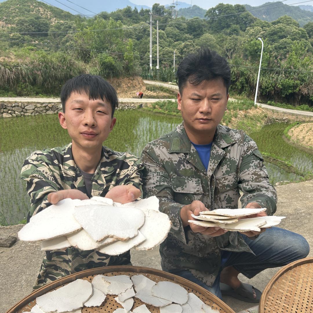 茯二代茯苓堂农产品