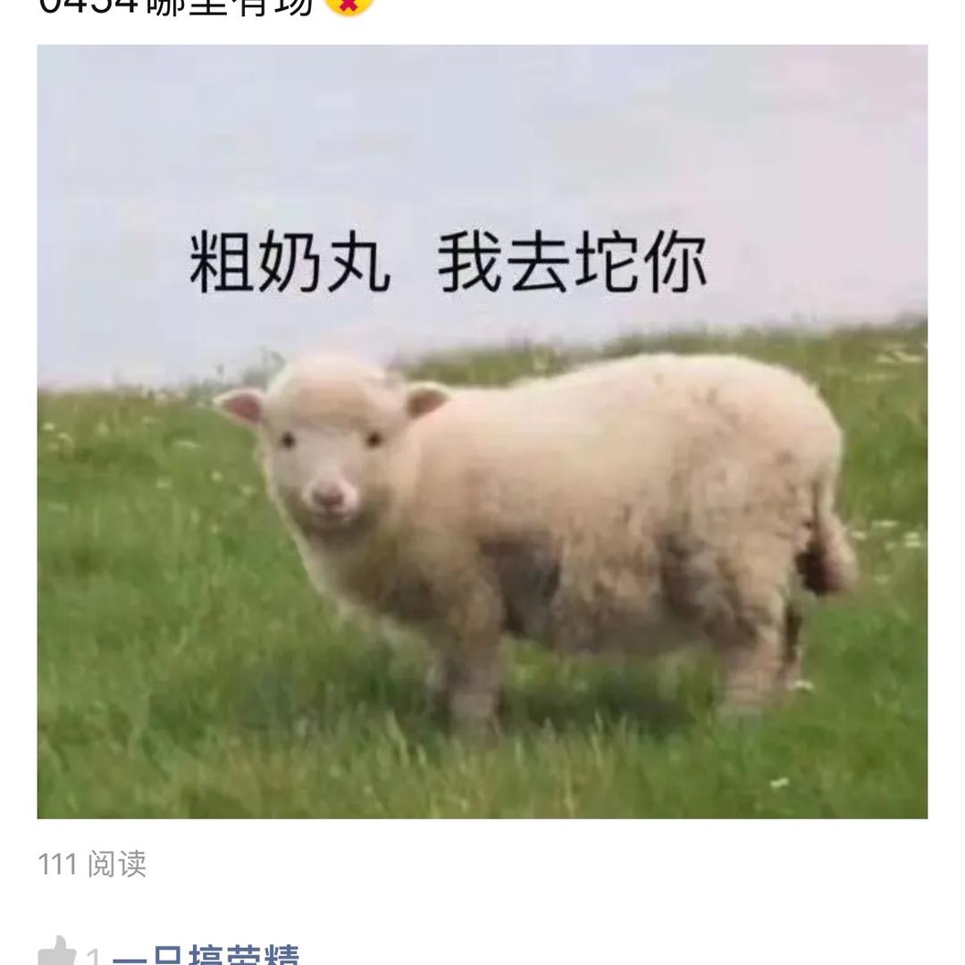 锴大叔