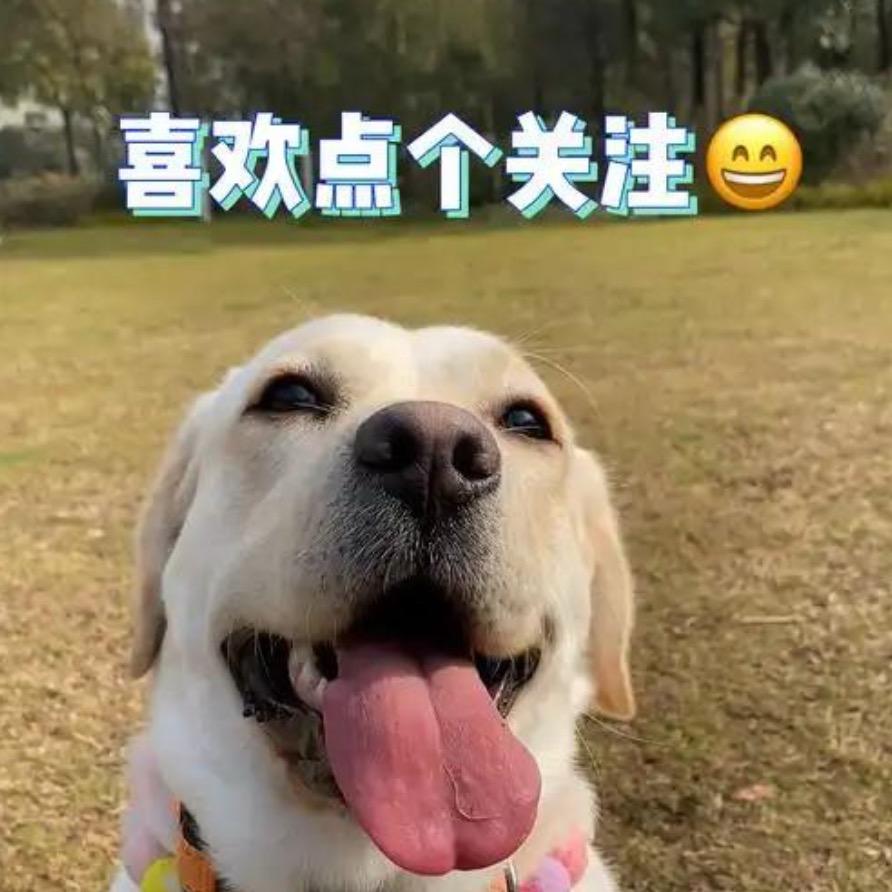 jiojio质检官