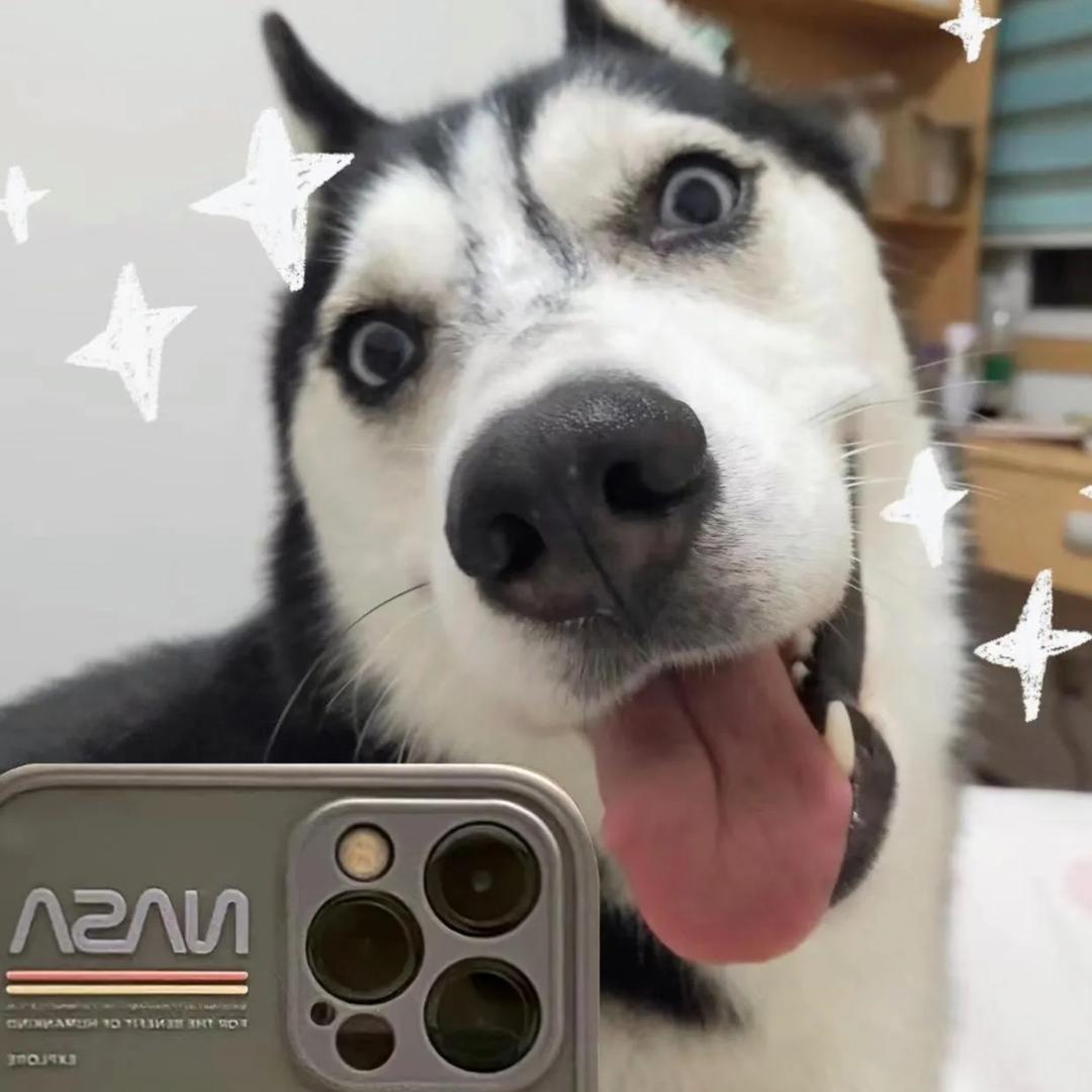 Yoloº晨