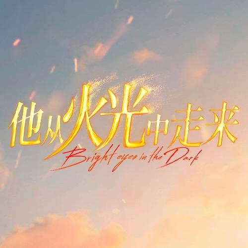 电视剧他从火光中走来