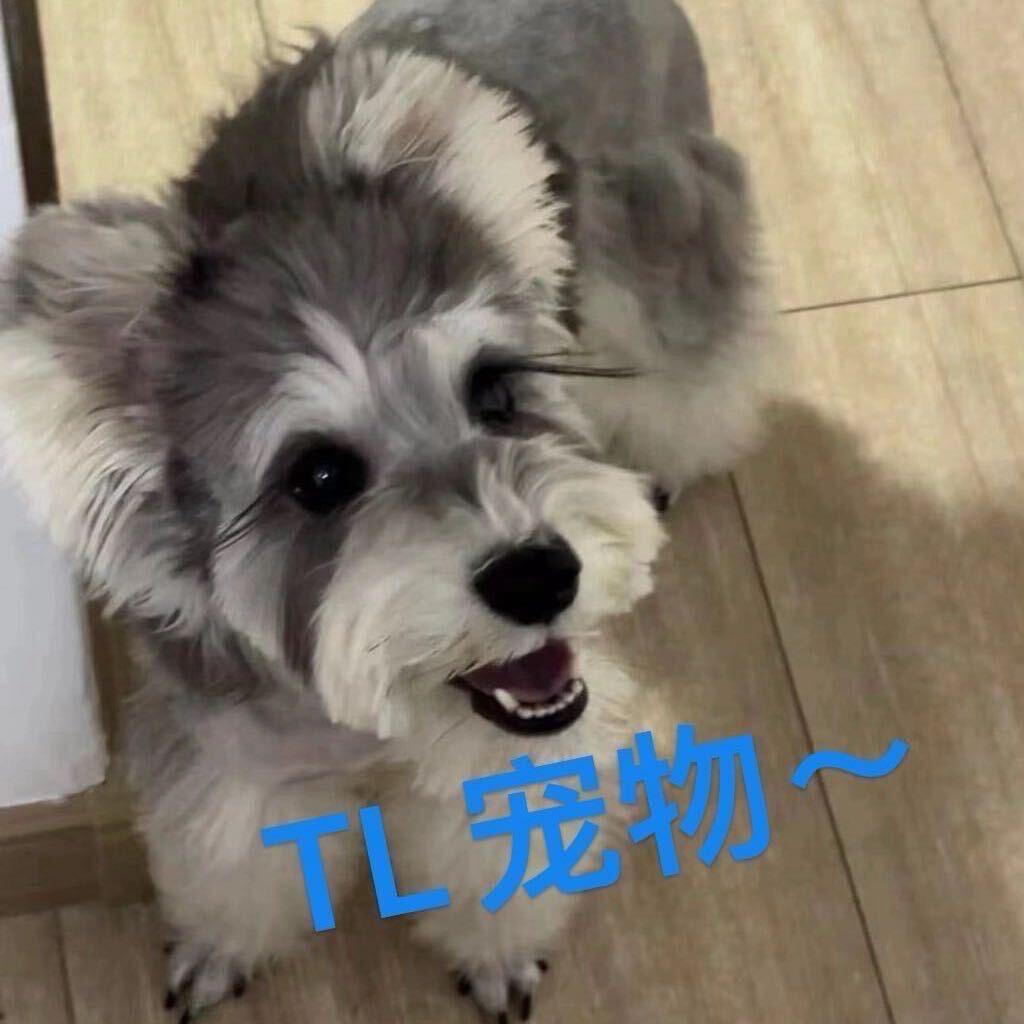 天津小雪~Lucky & TL宠物