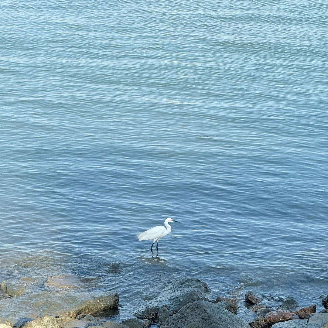 衡阳医博刘老师
