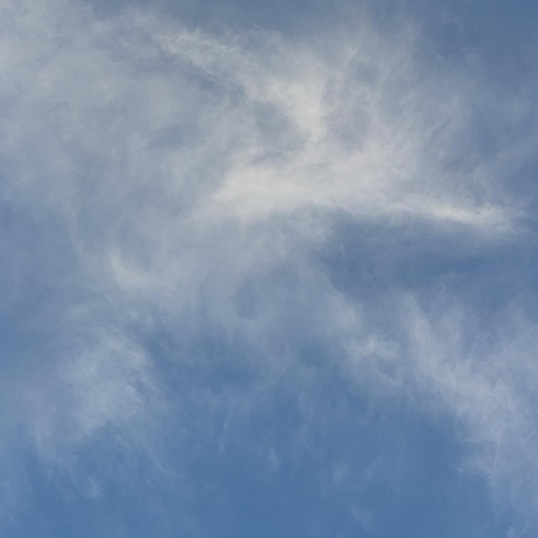 用户5952879385081