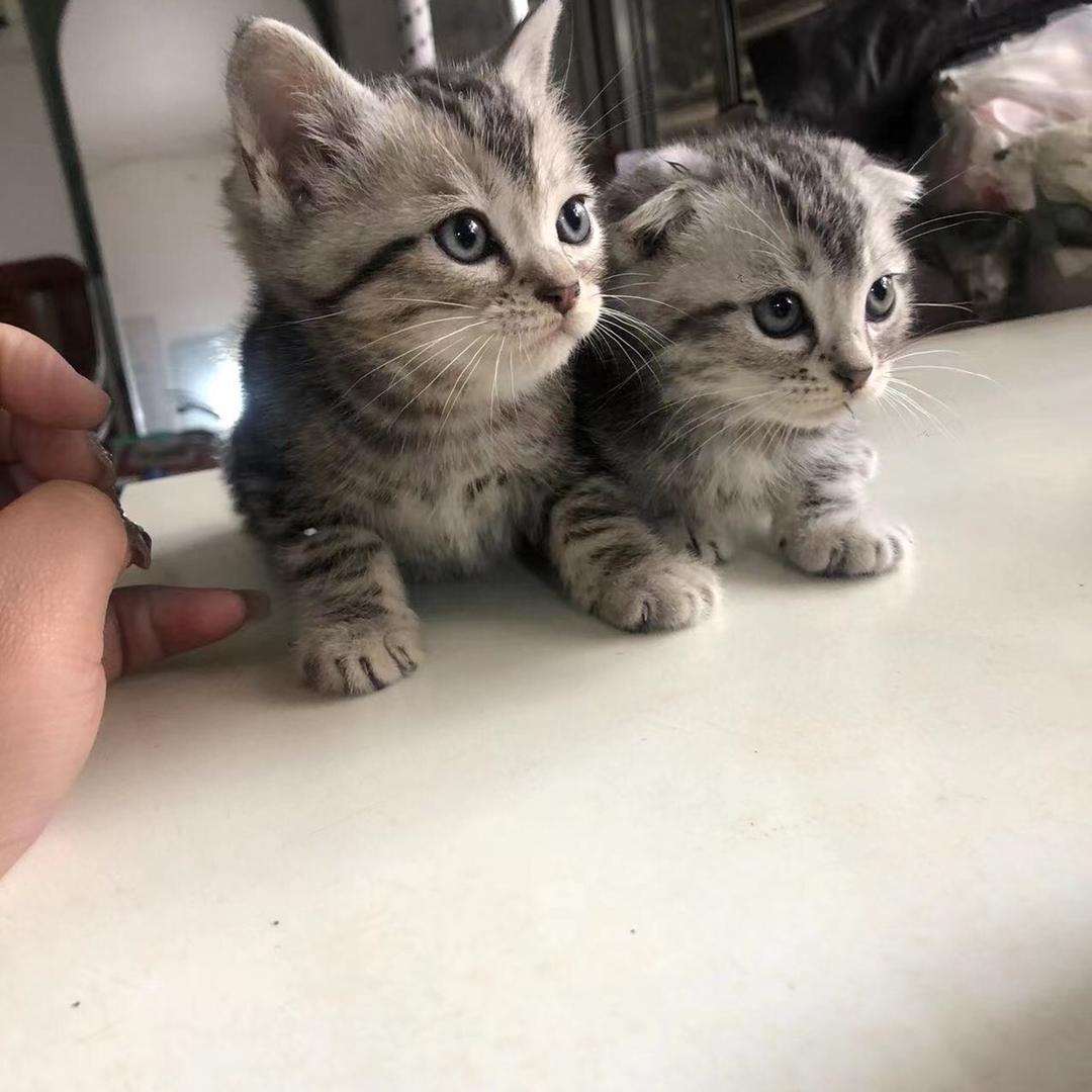 小棉袄（橱窗自助下单）