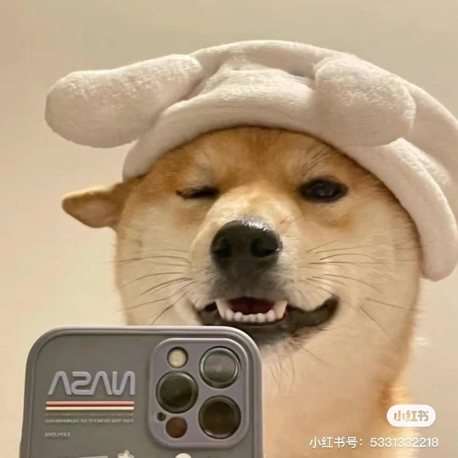 橙益
