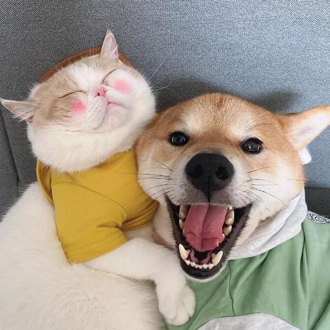 王十六