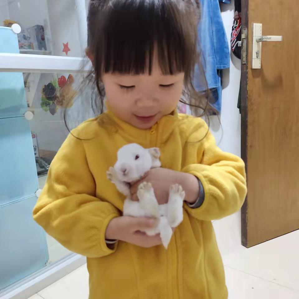 糖心是甜的❤︎