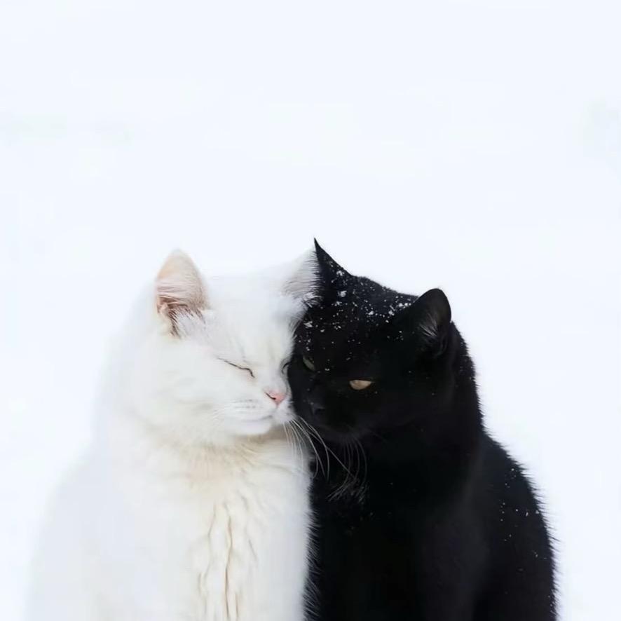金子