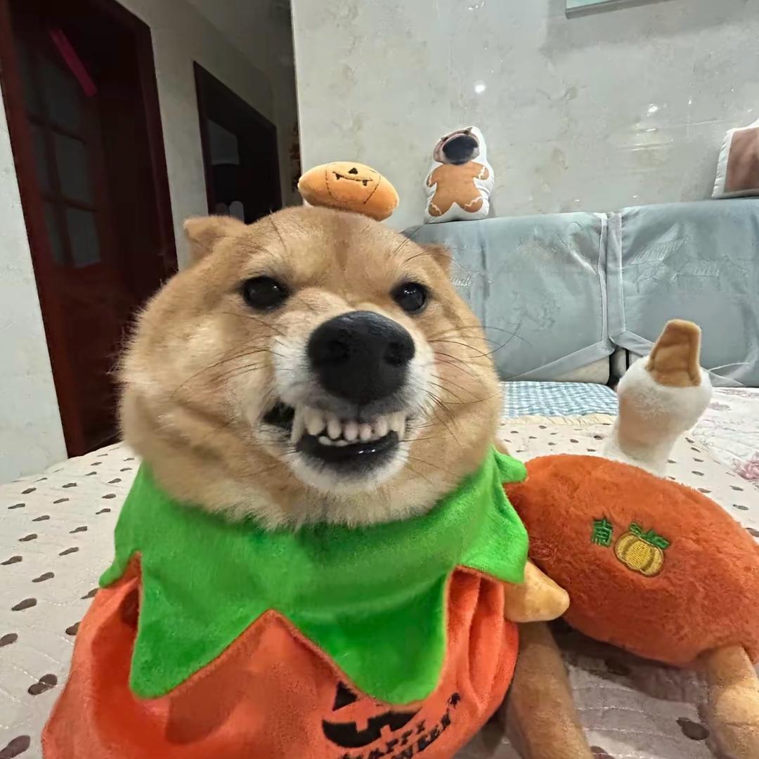 東。