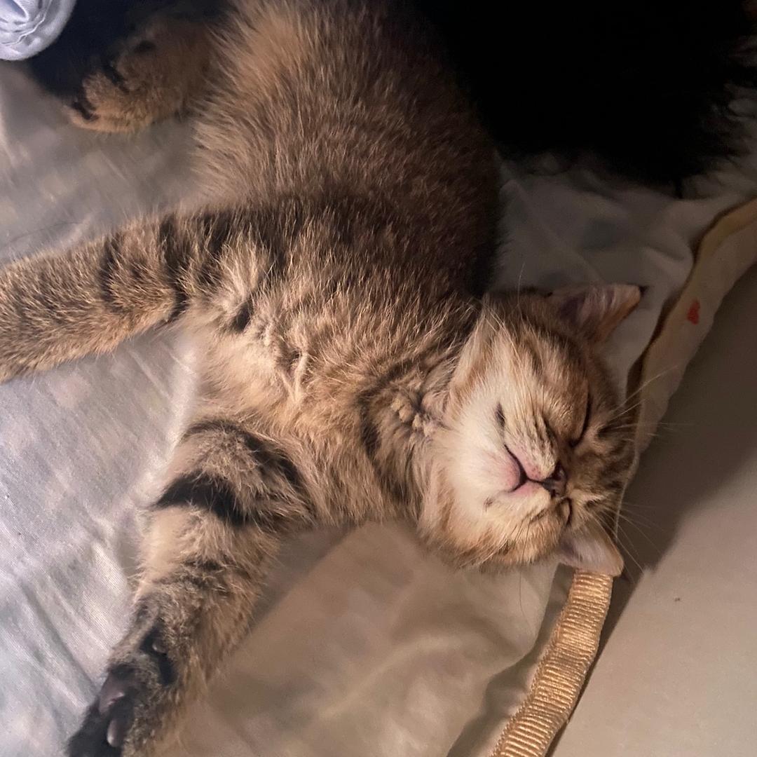 有钱的成长日记