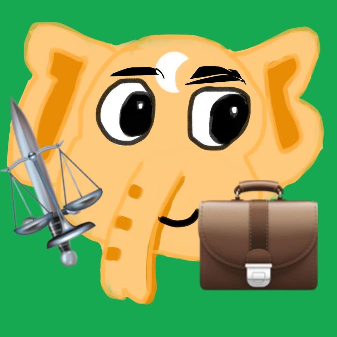 ⚖️包包大人💼