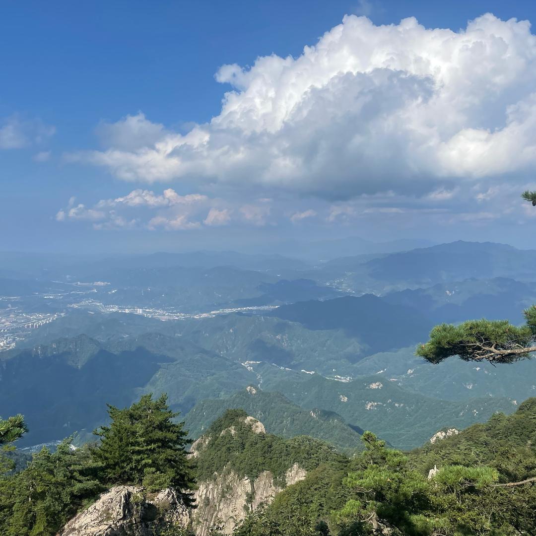 平安皮革布艺商行