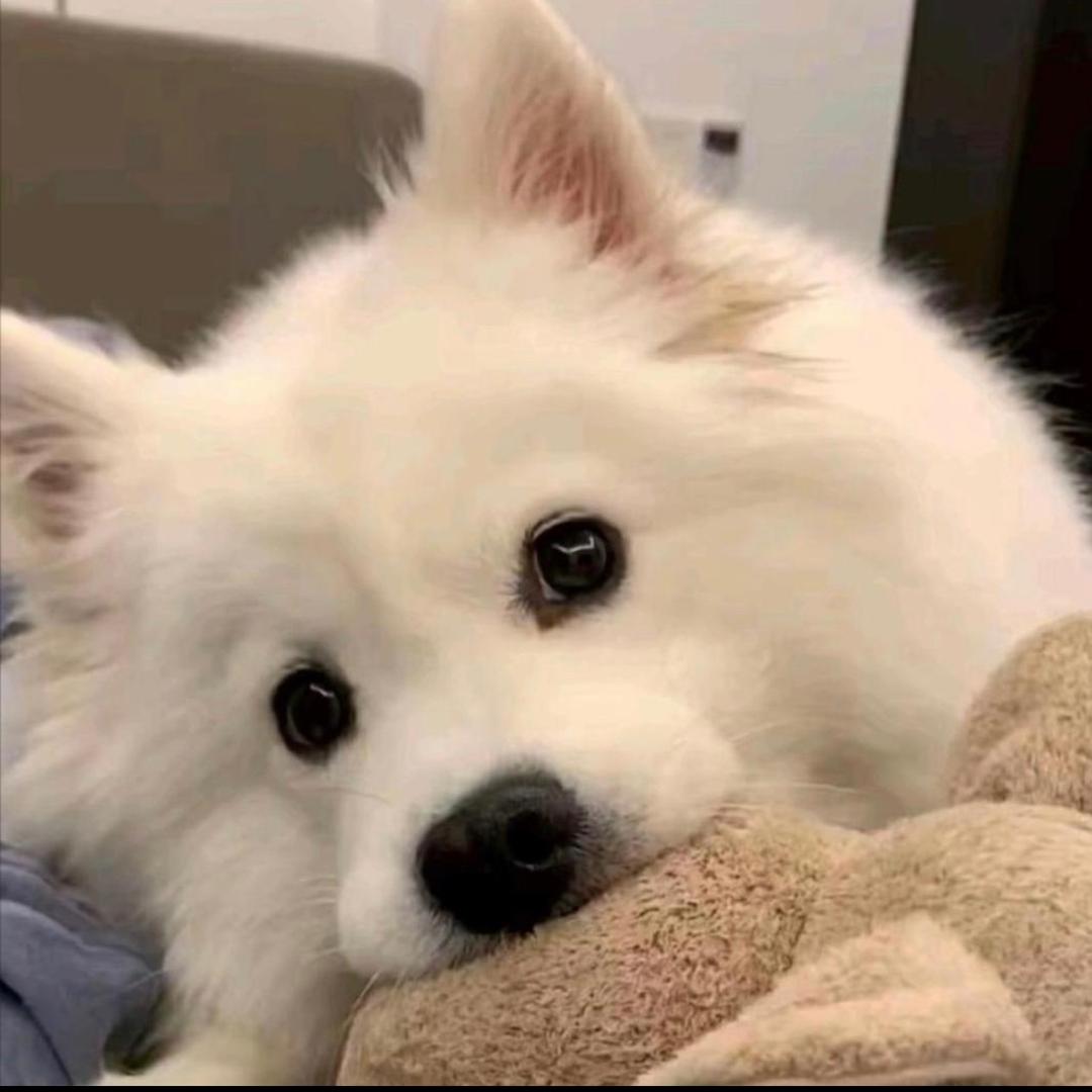 郑团团仓库炸炸炸