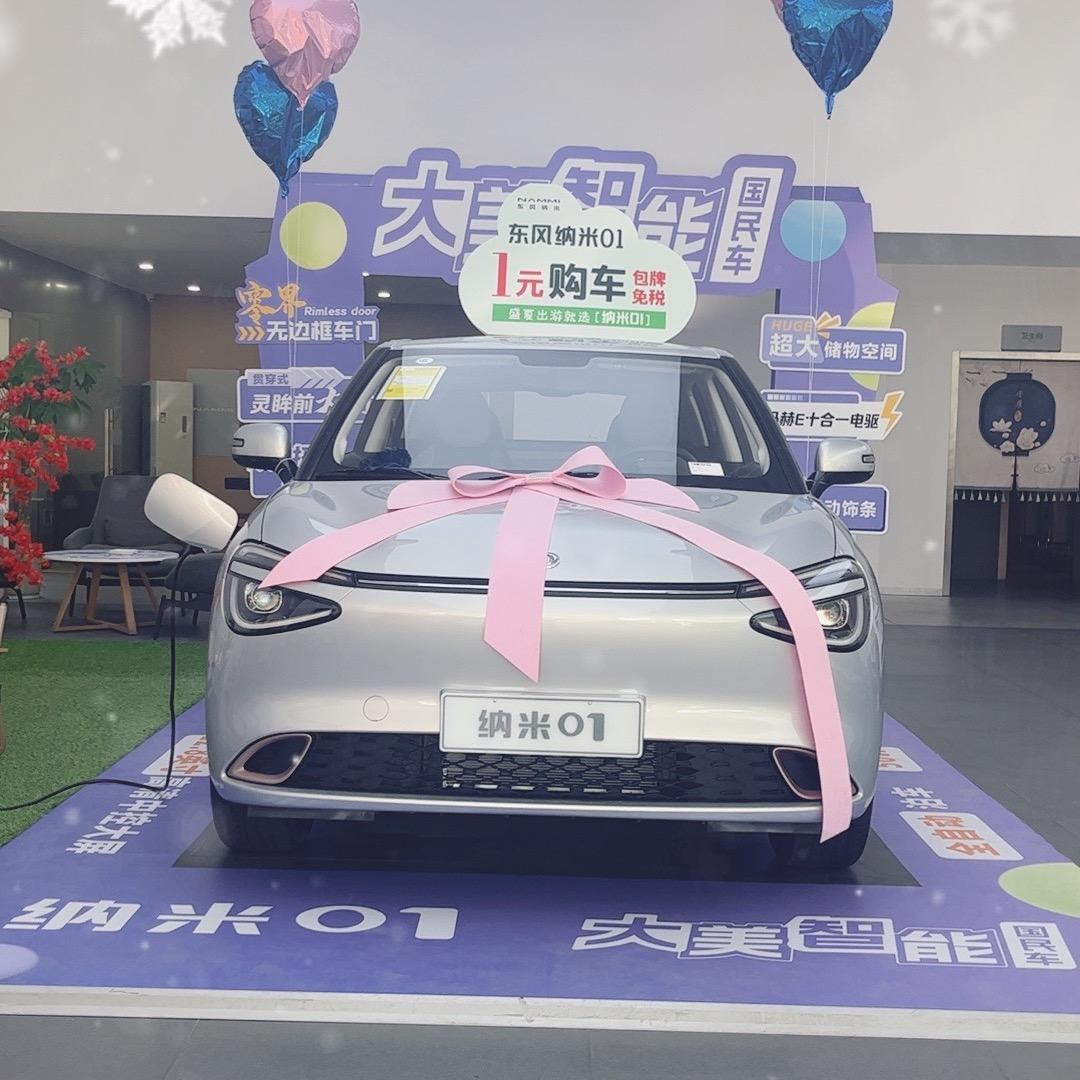 东风纳米销售顾问小姚