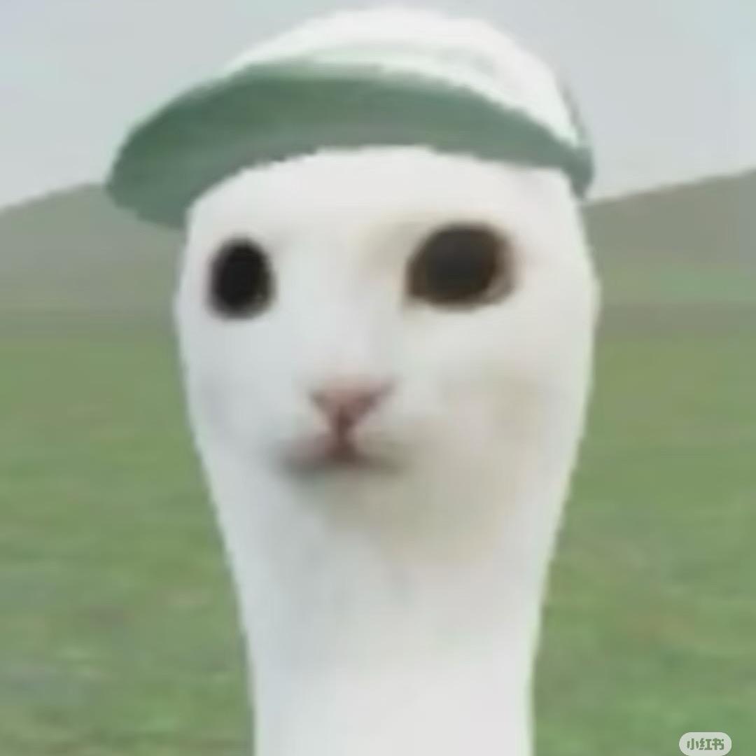 拿子