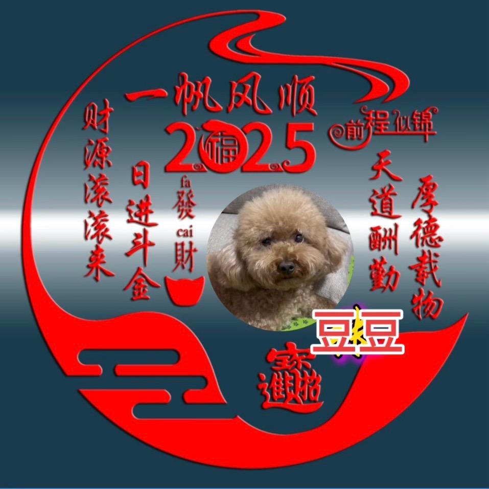 泰迪🐻豆豆