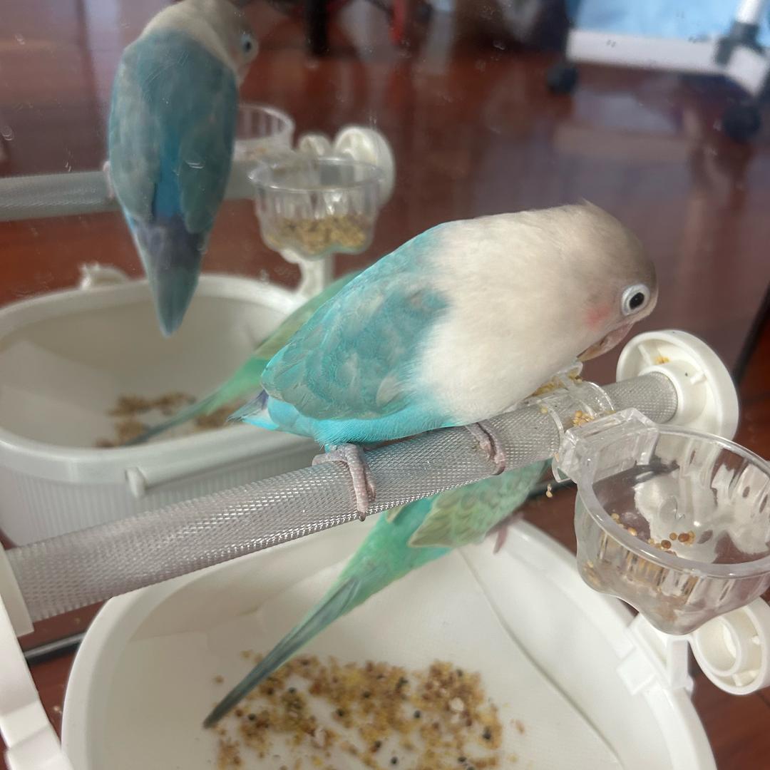 小航哥