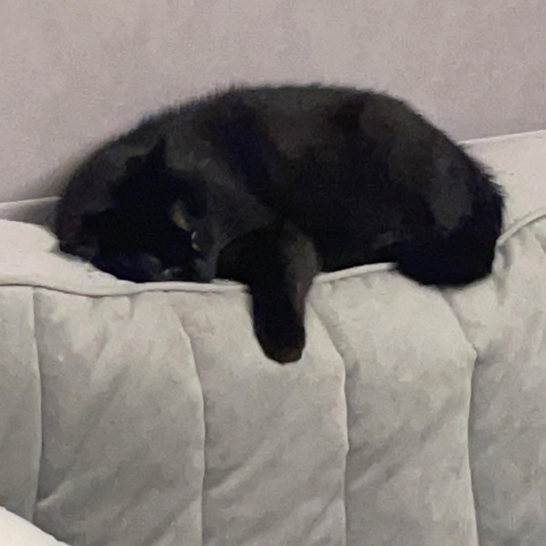 万物宠生商贸🐱🐶