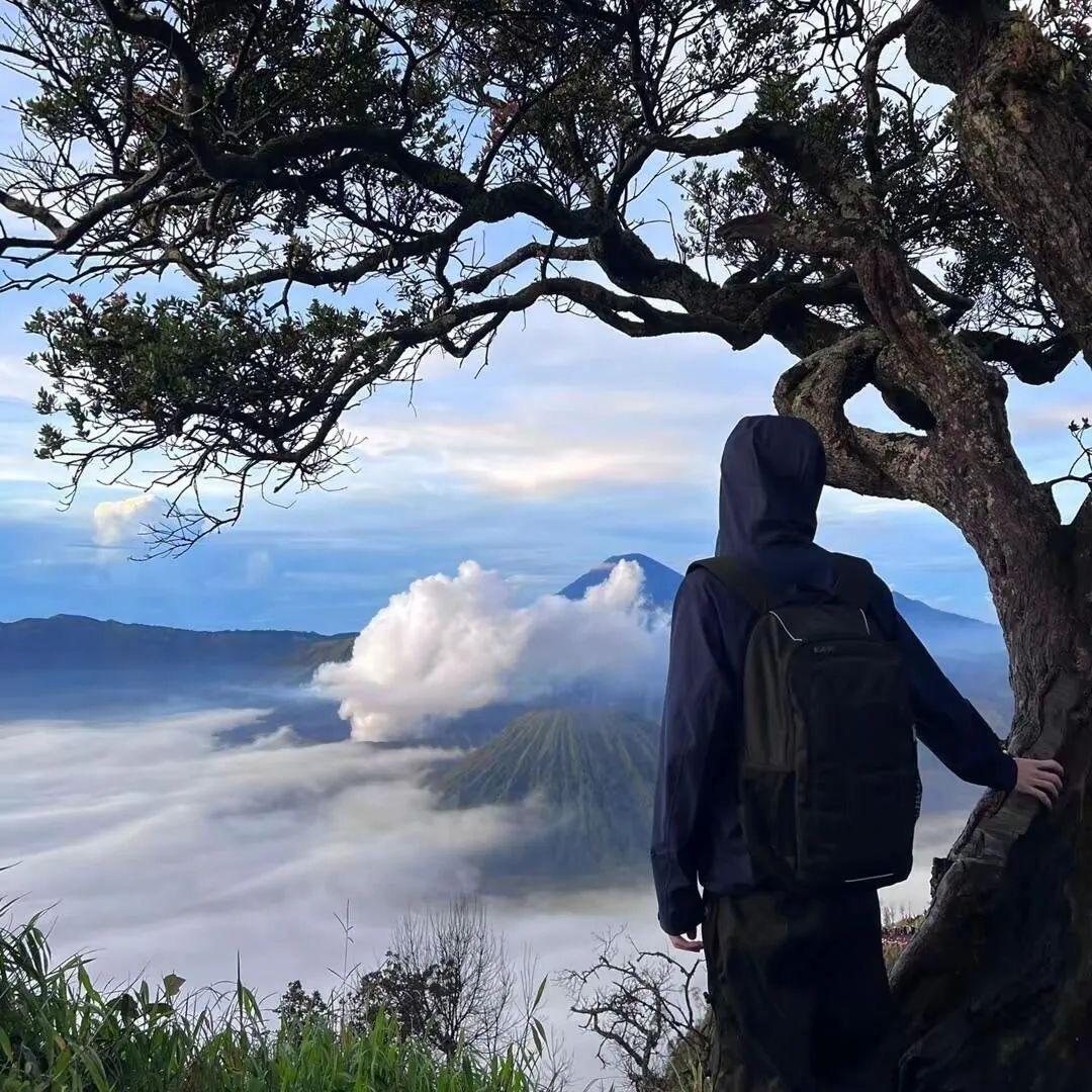 十二的宝藏