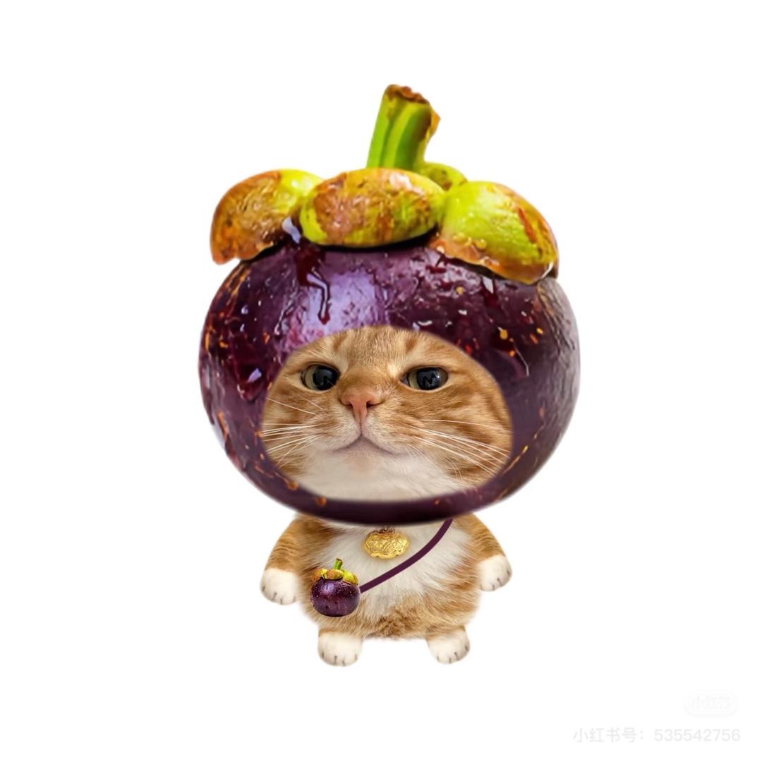 顾小满