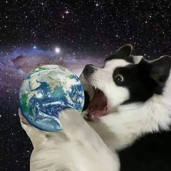 圈圈圆圆