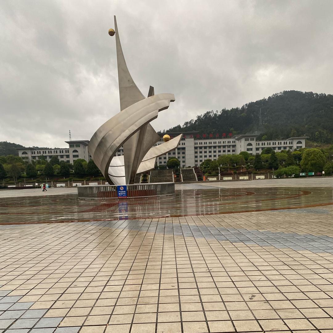 今天在道不我们家