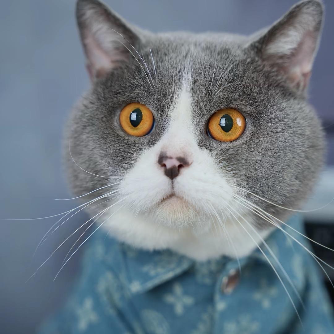 沈阳注册公司～