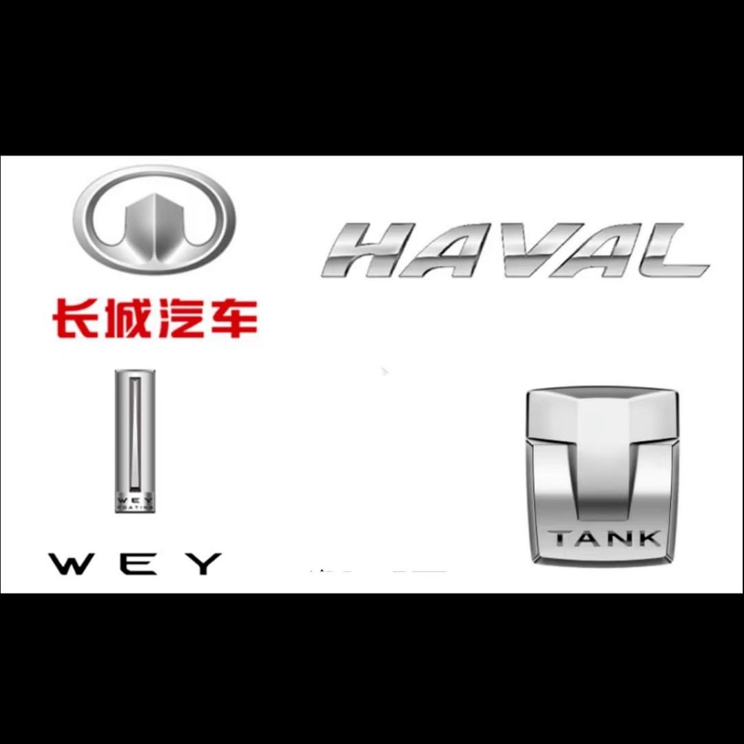 长城油耗高动力差抖动噪音大问题解决专家