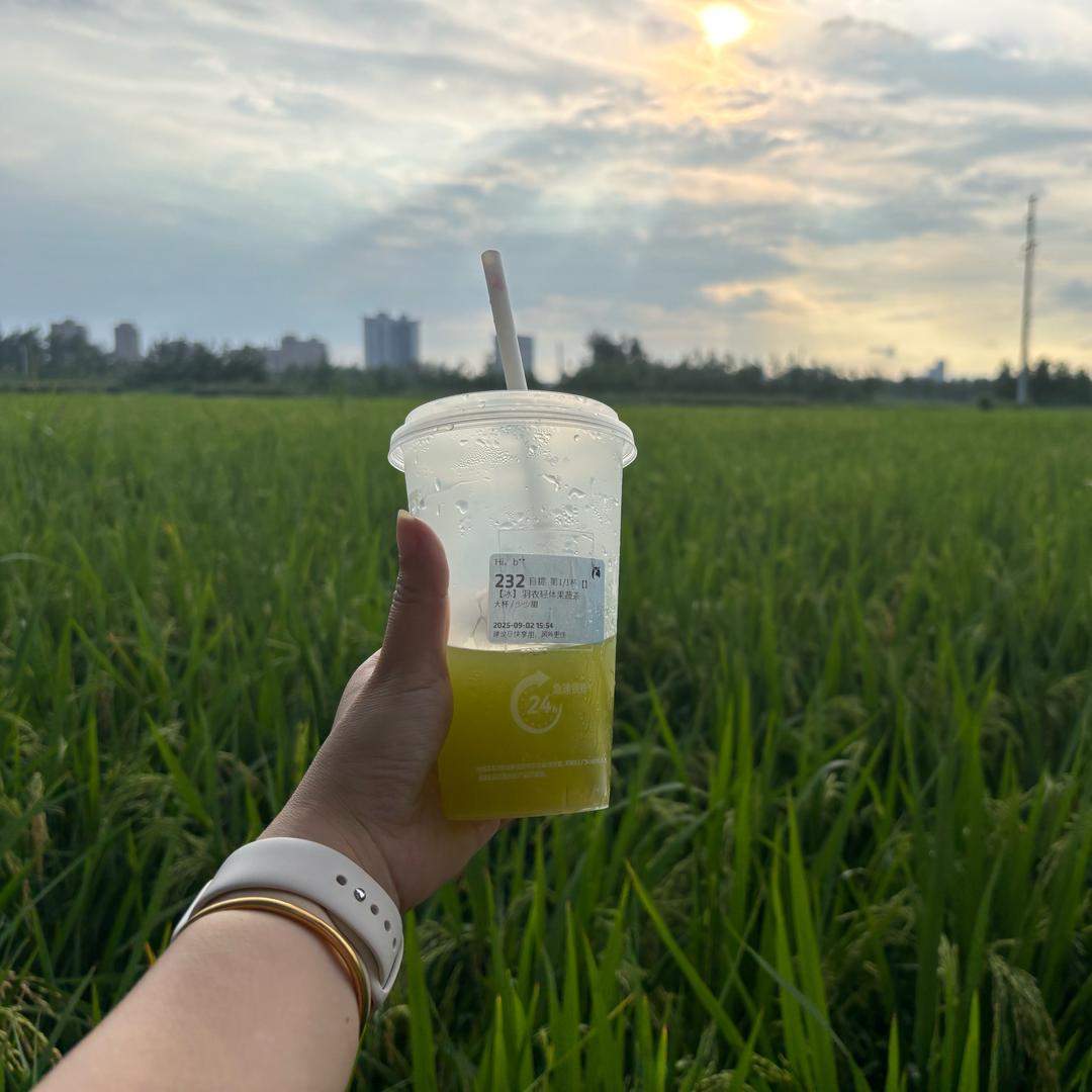 爱干饭的小胖子