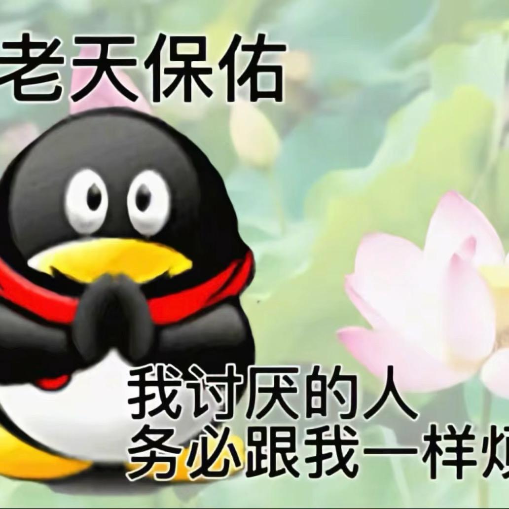 莲花🪷