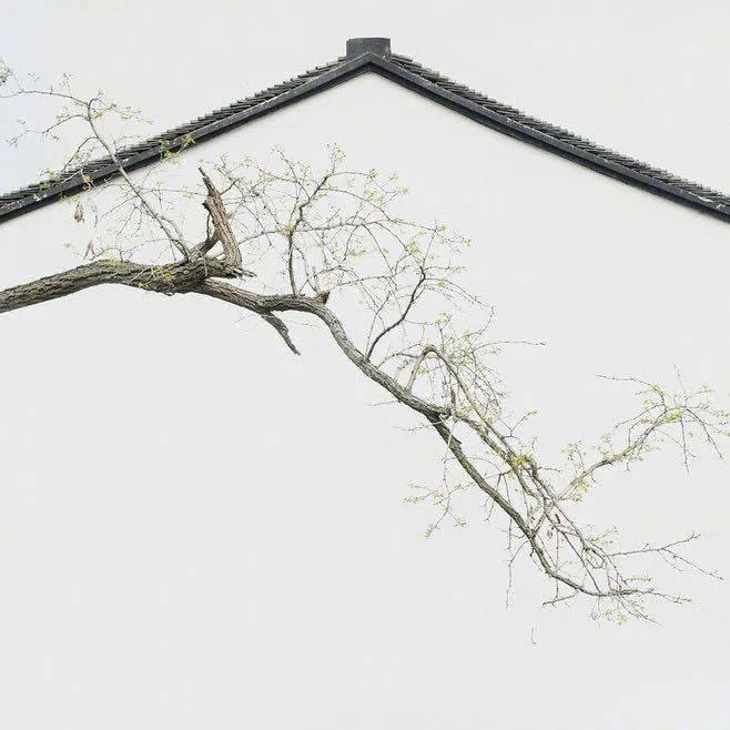 🏔️李先生🍢