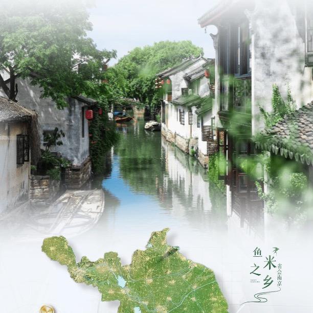 锋锋