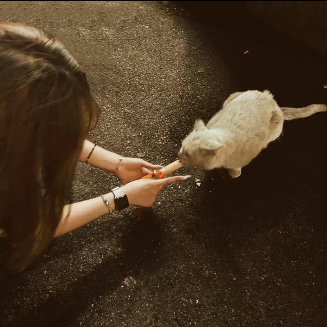 -Z.