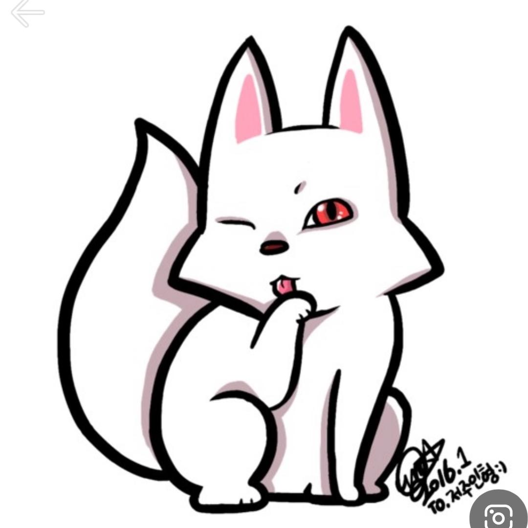 笨笨狐狸好物