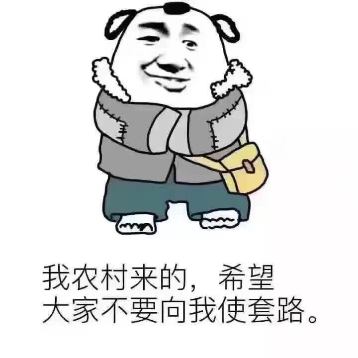 恐龙2004