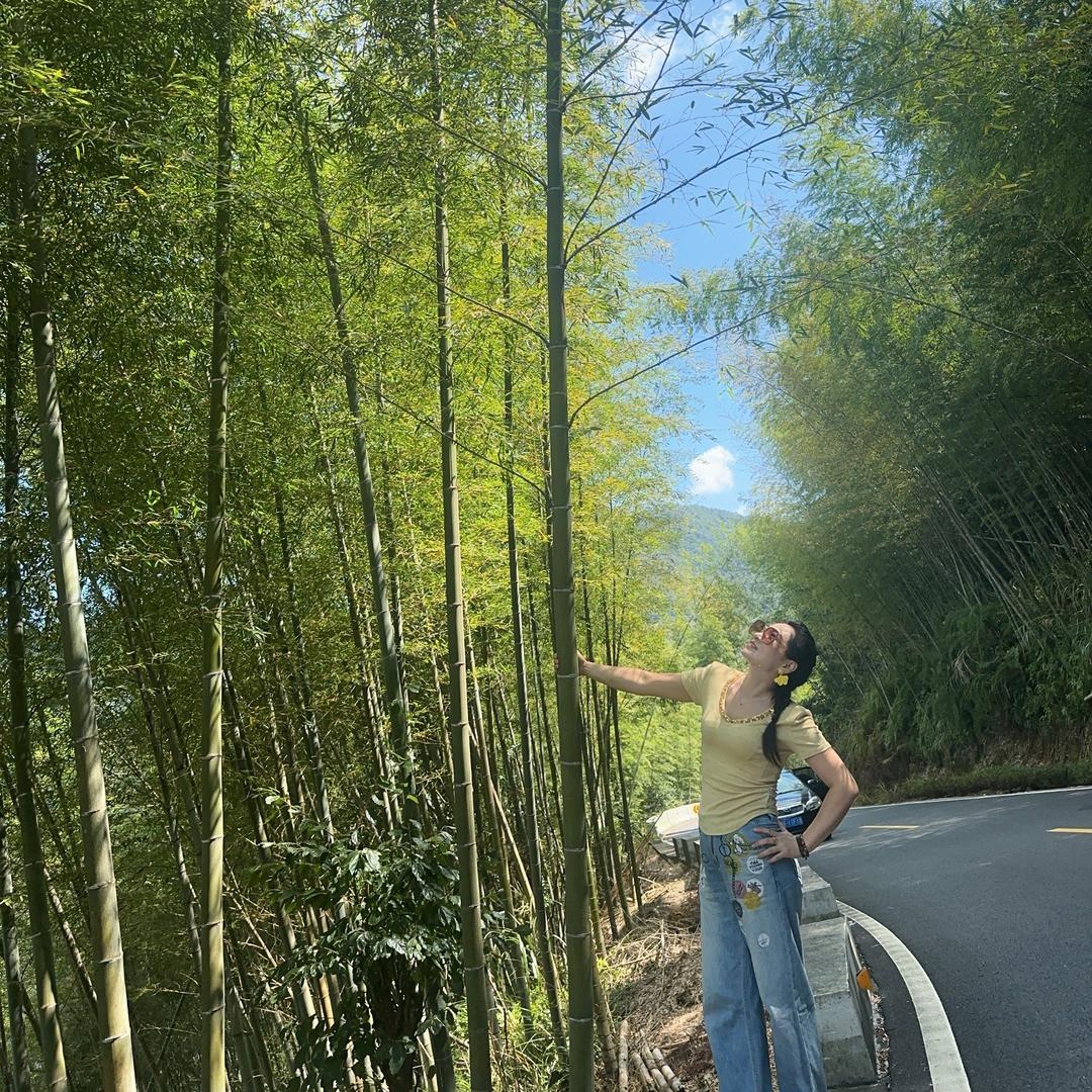 清欢