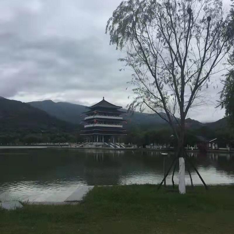 雄鹰🦅