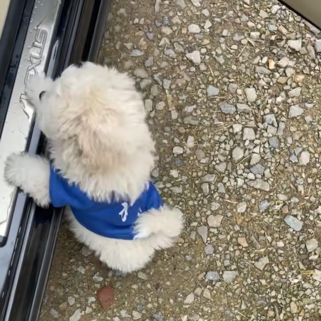 安然.