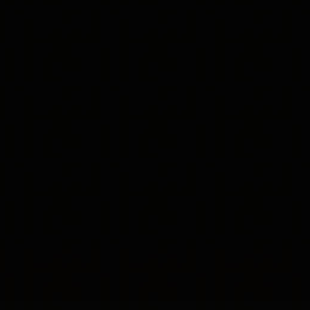 GS528