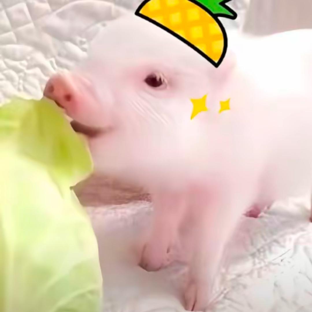 与你