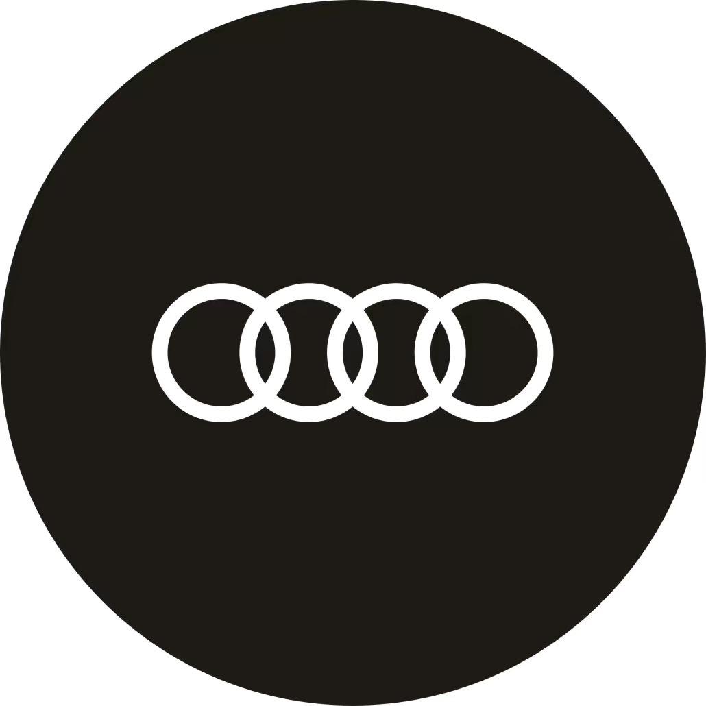 一汽奥迪巴中禾林