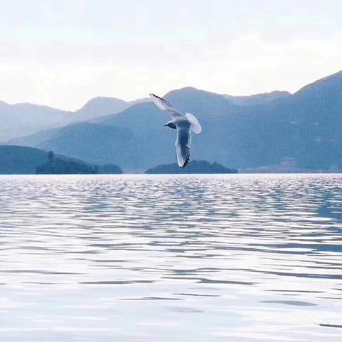 一缕阳光