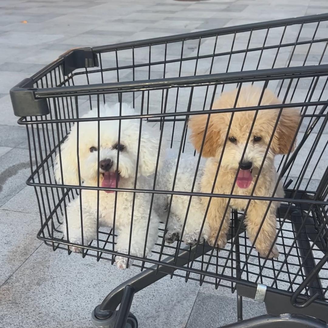 晴空漫行